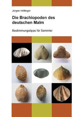 Die Brachiopoden Des Deutschen Malm (Paperback)