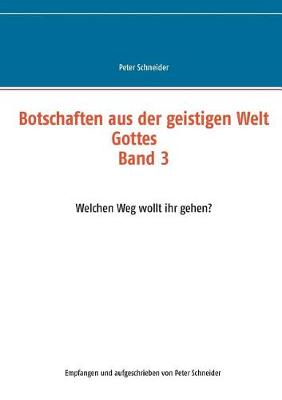 Botschaften Aus Der Geistigen Welt Gottes (Paperback)