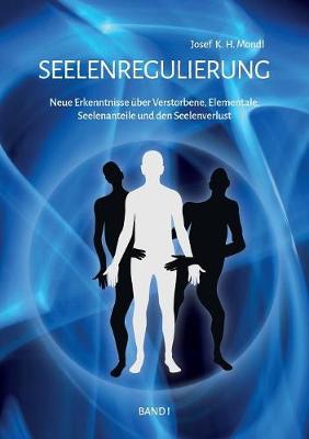 Seelenregulierung Band 1: Neue Erkenntnisse uber Verstorbene, Elementale, Seelenanteile und den Seelenverlust (Paperback)