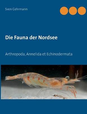 Die Fauna der Nordsee (Paperback)