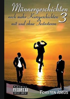 M nnergeschichten 3 (Paperback)