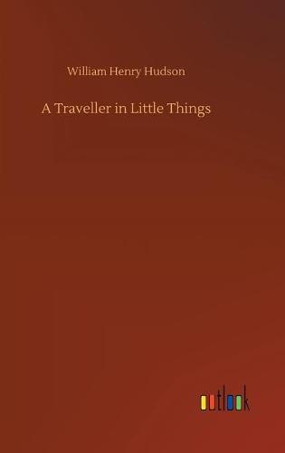A Traveller in Little Things (Hardback)