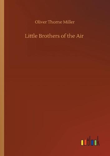 Little Brothers of the Air (Paperback)