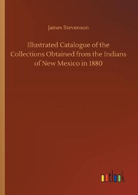Illustrated Catalogue of the Collections Obtained from the Indians of New Mexico in 1880 (Paperback)