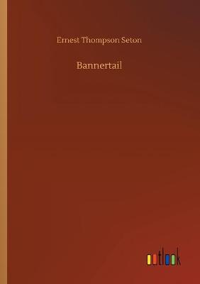 Bannertail (Paperback)