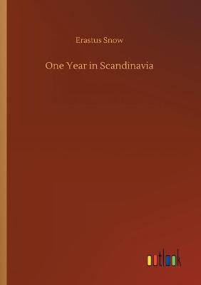 One Year in Scandinavia (Paperback)