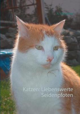 Katzen: Liebenswerte Seidenpfoten (Paperback)