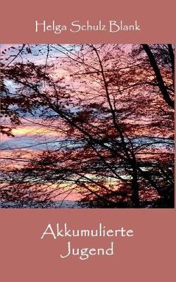 Akkumulierte Jugend (Paperback)