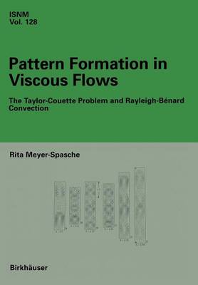 Pattern Formation in Viscous Flows: The Taylor-Couette Problem and Rayleigh-Benard Convection - International Series of Numerical Mathematics 128 (Paperback)