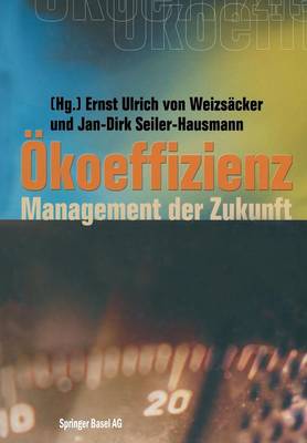koeffizienz: Management Der Zukunft - Wuppertal Texte (Paperback)