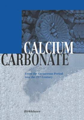 Calcium Carbonate: From the Cretaceous Period into the 21st Century (Hardback)