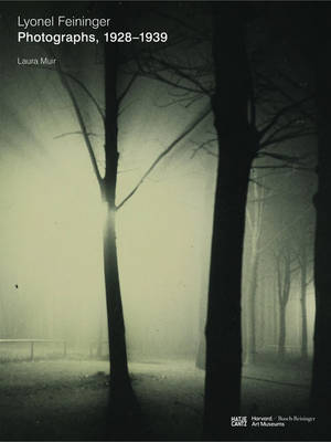 Lyonel Feininger: Photographs 1928-1939 (Hardback)