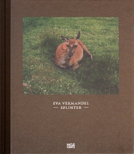 Eva Vermandel: Splinter (Hardback)