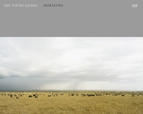 Sze Tsung Leong: Horizons (Hardback)