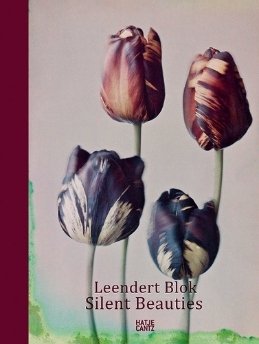 Leendert Blok: Silent BeautiesPhotographs from the 1920s (Hardback)