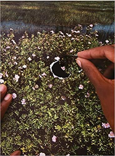 RE/SISTERS: A Lens on Gender and Ecology (Hardback)