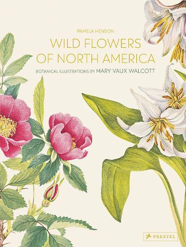 Wild Flowers of North America: Botanical Illustrations by  Mary Vaux Walcott (Hardback)