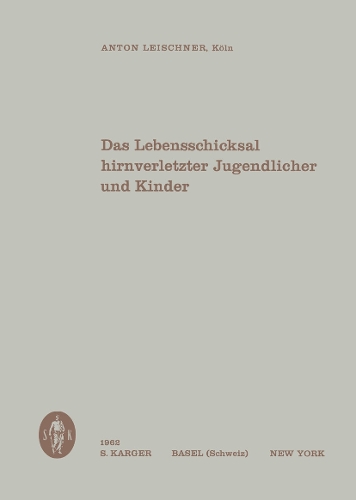 Das Lebensschicksal hirnverletzter Jugendlicher und Kinder (Paperback)