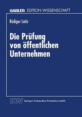 Die Pr fung Von ffentlichen Unternehmen (Paperback)