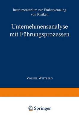Unternehmensanalyse Mit F hrungsprozessen: Instrumentarium Zur Fr herkennung Von Risiken (Paperback)
