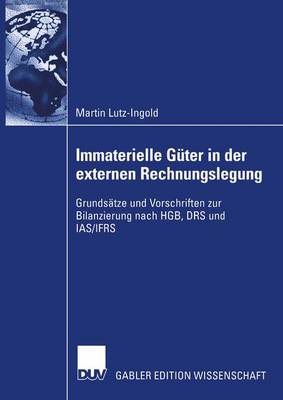 Immaterielle Guter in der Externen Rechnungslegung (Paperback)