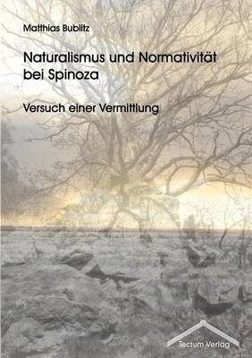 Naturalismus Und Normativit t Bei Spinoza (Paperback)