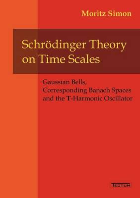 Schr Dinger Theory on Time Scales (Paperback)