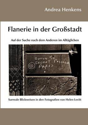 Flanerie in Der Gro Stadt (Paperback)