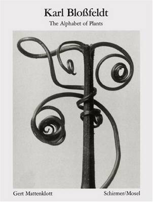 Karl Blossfeldt: Alphabet of Plants: Masters of the Camera (Paperback)