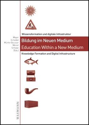 Education within a New Medium: Knowledge Formation and Digital Infrastructure (Paperback)