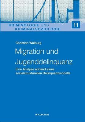 Migration Und Jugenddelinquenz (Paperback)