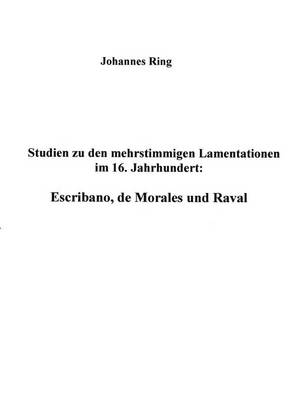 Studien Zu Den Mehrstimmigen Lamentationen Im 16. Jahrhundert (Paperback)
