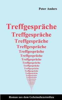 Treffgesprache: Roman aus dem Geheimdienstmilieu (Paperback)