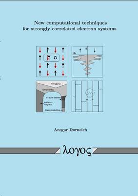 New Computational Techniques for Strongly Correlated Electron Systems (Paperback)