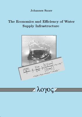 The Economics and Efficiency of Water Supply Infrastructure (Paperback)
