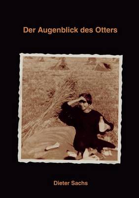 Der Augenblick des Otters (Paperback)