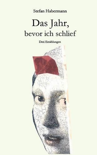 Das Jahr, Bevor Ich Schlief (Paperback)