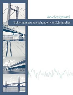 Br Ckendynamik - Schwingungsuntersuchungen Von Schr Gseilen (Paperback)