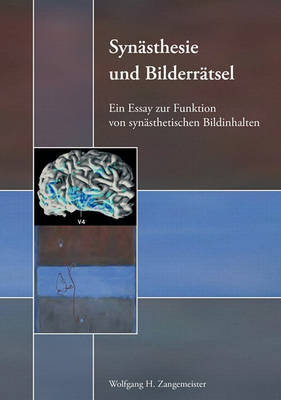 Synasthesie Und Bilderratsel (Paperback)