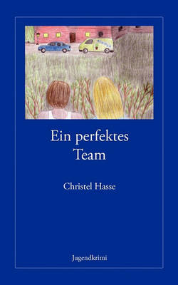 Ein Perfektes Team (Paperback)