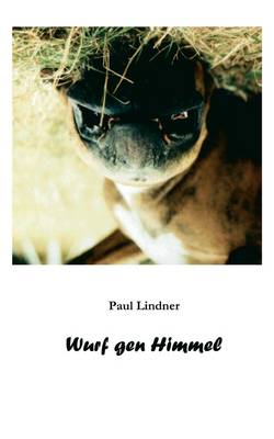 Wurf Gen Himmel (Paperback)