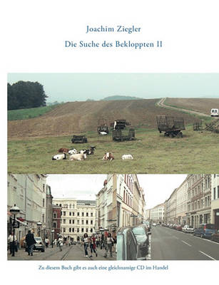 Die Suche Des Bekloppten Teil 2 (Paperback)