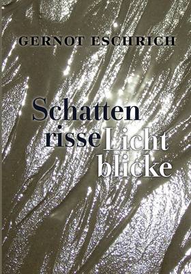 Schattenrisse - Lichtblicke (Paperback)