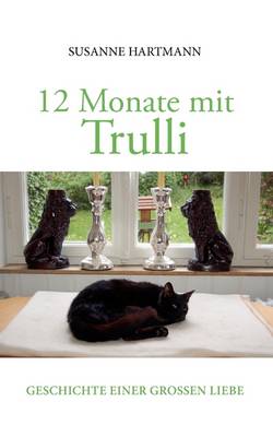 12 Monate Mit Trulli (Paperback)