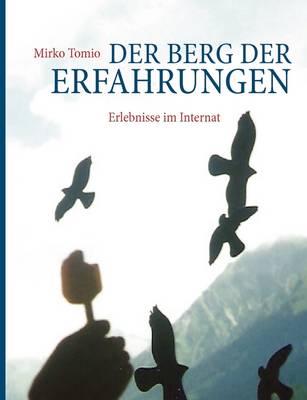Der Berg Der Erfahrungen (Paperback)