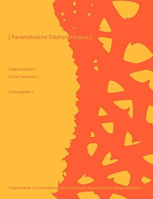 Parametrische Flachenmodule (Paperback)