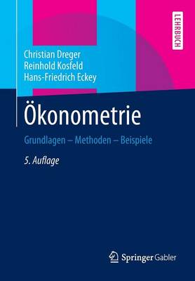 �konometrie: Grundlagen - Methoden - Beispiele (Paperback)