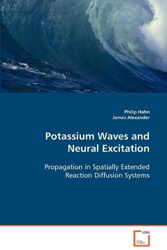 Potassium Waves and Neural Excitation (Paperback)