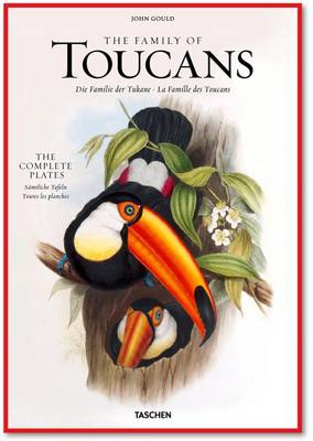 John Gould, Family of Toucans (Hardback)