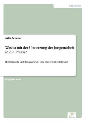 Was Ist Mit Der Umsetzung Der Jungenarbeit in Die Praxis? (Paperback)